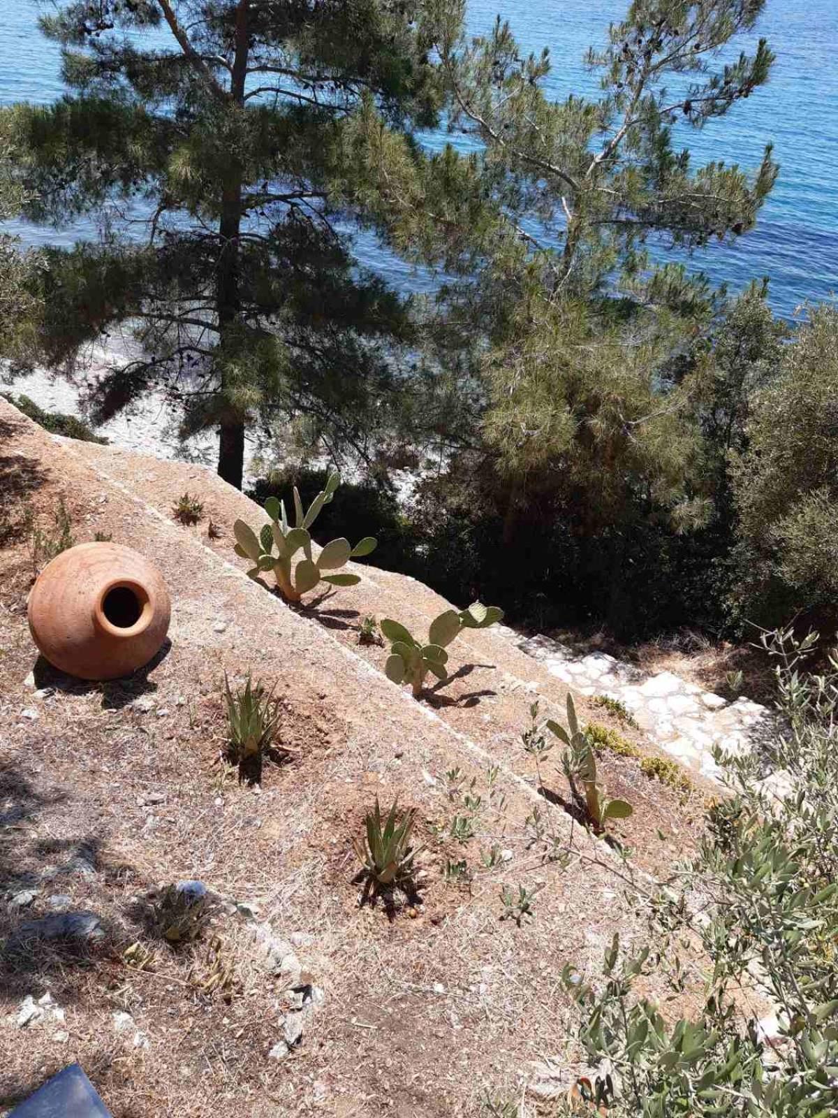פלומרי Δωμάτια Κόκκινος Πύργος מראה חיצוני תמונה