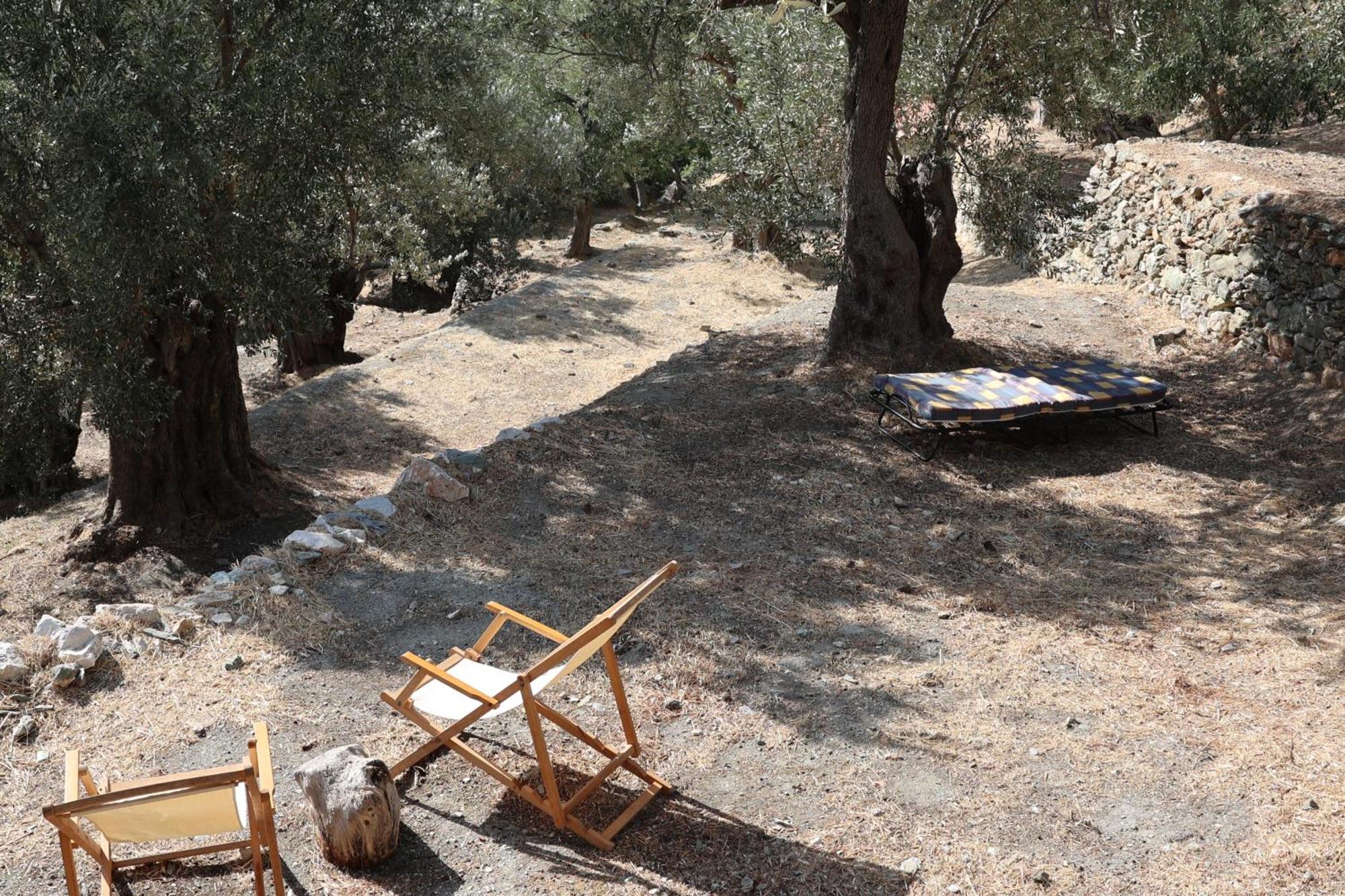 פלומרי Δωμάτια Κόκκινος Πύργος מראה חיצוני תמונה